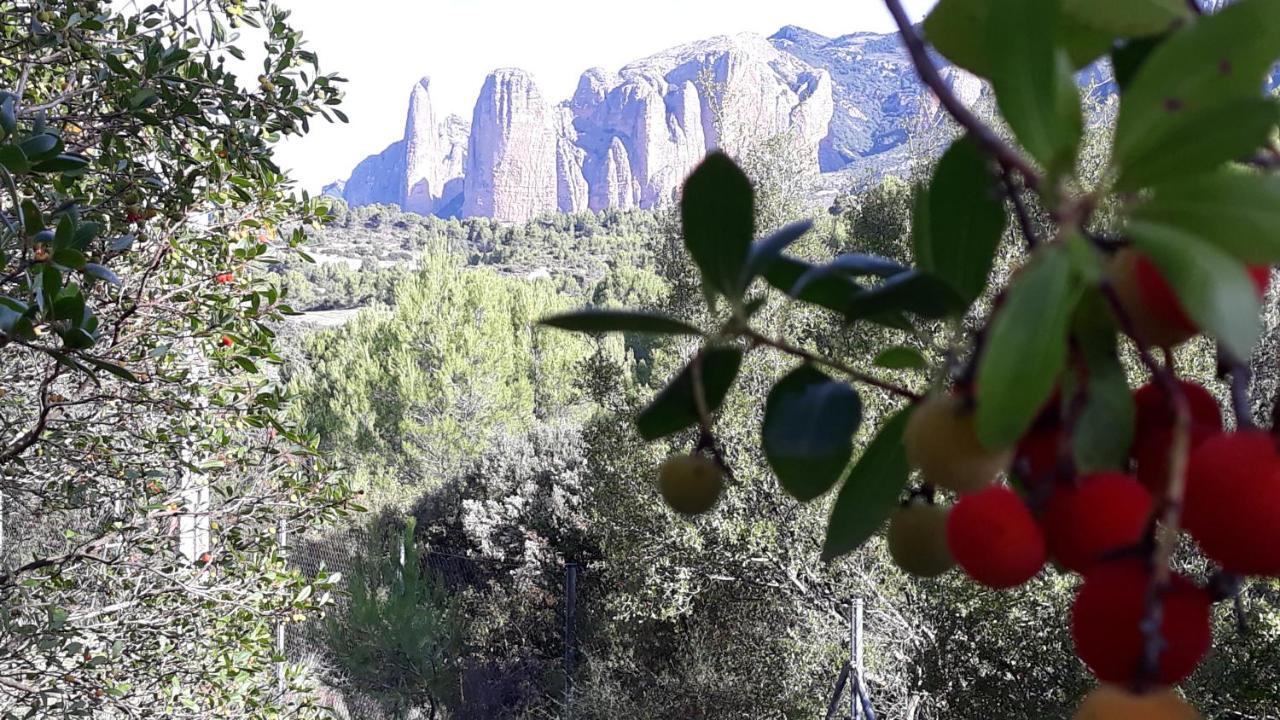 Despertar En Riglos Apartment ภายนอก รูปภาพ